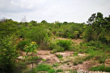 Land for sale in Pho Sai, Ubon Ratchathani