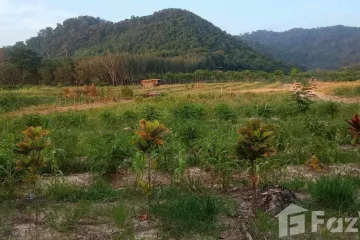 Land for sale in Huai Thap Mon, Rayong