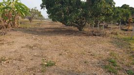 Land for sale in Huai Sak, Chiang Rai