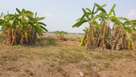 Land for sale in Huai Sak, Chiang Rai