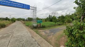 Land for sale in Nong Lek, Surin