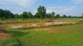 Land for sale in Khon Sawan, Chaiyaphum