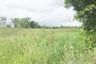 Land for sale in Rop Wiang, Chiang Rai
