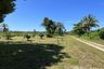 Land for sale in Khuekkhak, Phang Nga