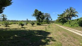 Land for sale in Khuekkhak, Phang Nga