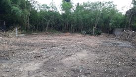 Land for sale in Chomphu, Lampang