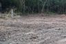 Land for sale in Chomphu, Lampang