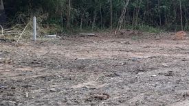 Land for sale in Chomphu, Lampang