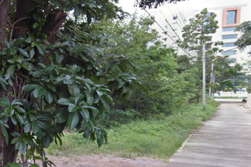 Land for sale in Chomphu, Lampang