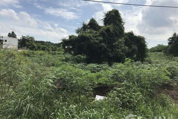 Land for sale in Tha Tum, Prachin Buri