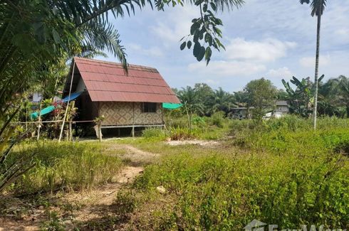 Land for sale in Sai Thai, Krabi