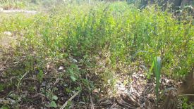 Land for sale in Sai Thai, Krabi