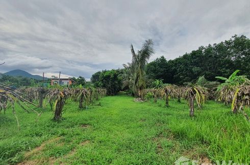 Land for sale in Mueang, Loei