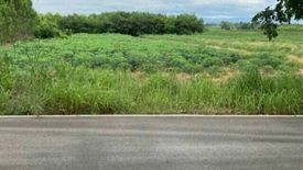 Land for sale in Trai Trueng, Kamphaeng Phet