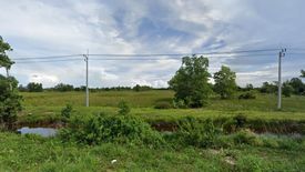 Land for sale in Tuyong, Pattani