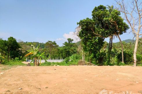 Land for sale in Ko Chang, Trat