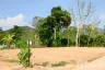 Land for sale in Ko Chang, Trat