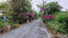 Land for sale in Samet, Chonburi