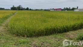 Land for sale in Sila, Khon Kaen