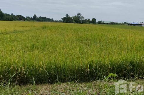 Land for sale in Sila, Khon Kaen