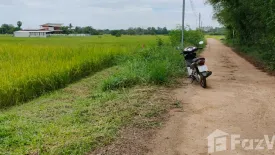 Land for sale in Sila, Khon Kaen