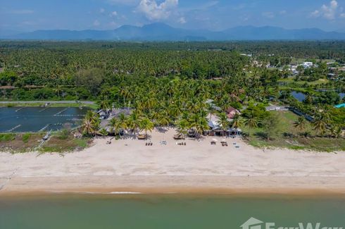 Land for sale in Klai, Nakhon Si Thammarat