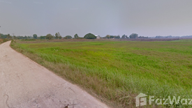 Land for sale in Phan Phrao, Nong Khai