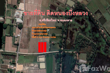 Land for sale in Phan Phrao, Nong Khai