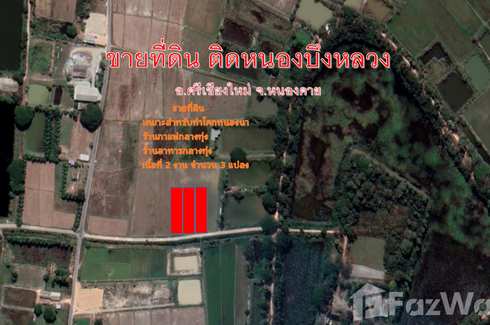 Land for sale in Phan Phrao, Nong Khai