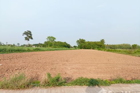 Land for sale in Bueng Phra, Phitsanulok