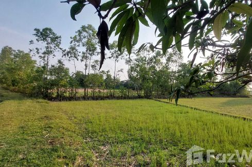 Land for sale in Rai Noi, Ubon Ratchathani