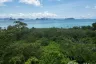 Land for sale in Ko Yao Noi, Phang Nga