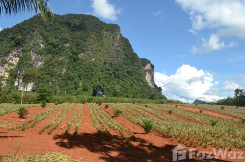 Land for sale in Nong Thale, Krabi