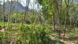 Land for sale in Nong Thale, Krabi