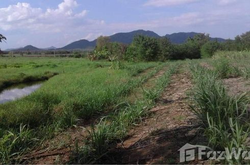 Land for sale in Si Songkhram, Loei