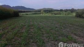 Land for sale in Si Songkhram, Loei