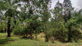 Land for sale in Wisai Tai, Chumphon