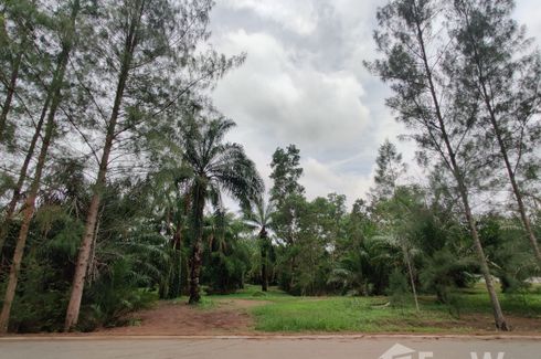 Land for sale in Wisai Tai, Chumphon