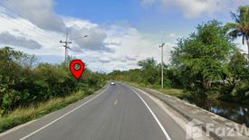 Land for sale in Bana, Pattani