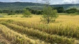 Land for sale in Chao Thong, Chaiyaphum