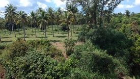 Land for sale in Pak Khlong, Chumphon