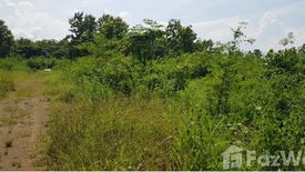 Land for sale in Si Bua Ban, Lamphun