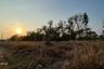 Land for sale in Hua Ro, Phitsanulok