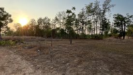 Land for sale in Hua Ro, Phitsanulok