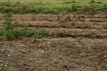 Land for sale in Thong Mongkhon, Prachuap Khiri Khan