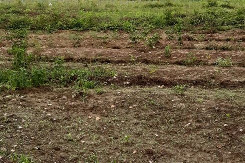 Land for sale in Thong Mongkhon, Prachuap Khiri Khan