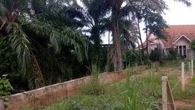 Land for sale in Krabi Yai, Krabi