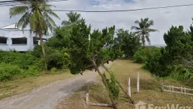 Land for sale in Thong Chai, Prachuap Khiri Khan