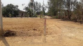 Land for sale in Pa Sak, Lamphun