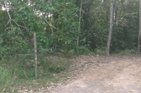 Land for sale in Ko Chang Tai, Trat